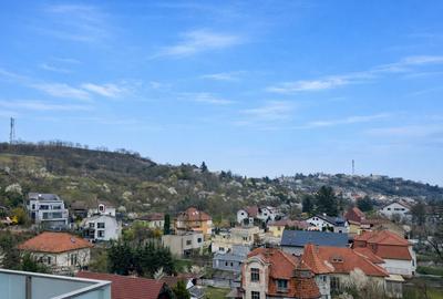 Penthouse cu 4 camere decomandat, mobilat în Grigorescu - 12
