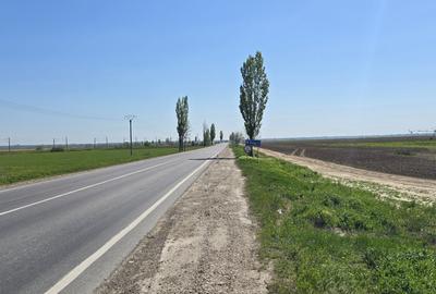 Teren extravilan de 2 mp, în Tișița - 3