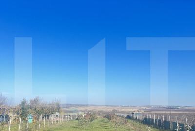 Teren intravilan 5000 mp Oraseni Deal - 1