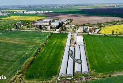 Spațiu comercial, de 10,000 mp, în Horia - 10