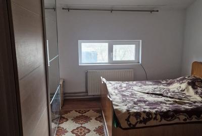 Vila P+E si teren intravilan 1,5Ha,cu zavoi+iaz,lac peste si livada-investitie - 11