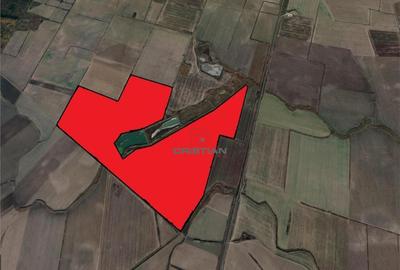 Teren Peris - Crevedia, Ilfov - 2