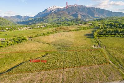 Teren deosebit/ Rasnov/13800 mp/Glajarie-Mestecanis-Poligon