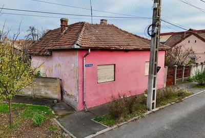 Casa in Micalaca str.Crinului nr.28, teren 621 mp, fs.14,76 ml - 8