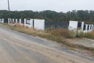 De vanzare teren cu deschidere la lac - 2