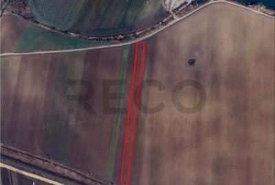 RECO Teren extravilan 2700mp Bors - 1