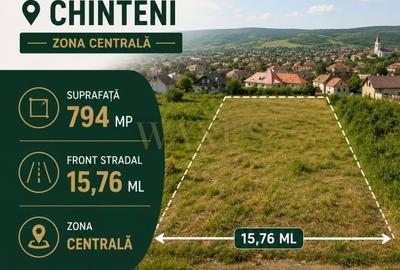 Spațiu comercial, în Chinteni
