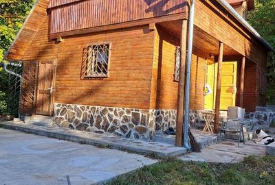Teren în Băile Chirui - 3
