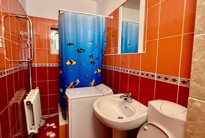 Apartament cu 2 camere semidecomandat, mobilat în Piața Unirii - 10