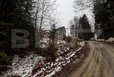 Teren unic, exclusivist  4000 mp, in inima muntilor, Sinaia - 11
