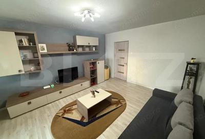 Garsonieră semidecomandată în Brazda lui Novac - 1