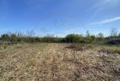 Teren 900 mp intravilan Smeura-Mosoaia. Comision 0% - 2