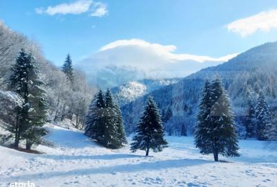 Spațiu comercial, în Central - 3
