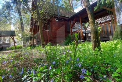 Casă cu 2 camere cu Teren 113 Mp în Reci - 2