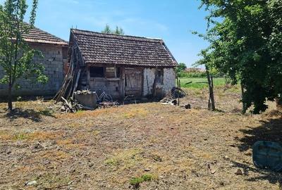 Casă individuală cu 2 camere în Șiria - 5