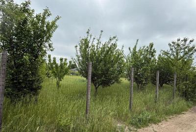 TEREN PENTRU CONSTRUCTIA CASEI, MIROSLAVA, VALEA URSULUI - 1