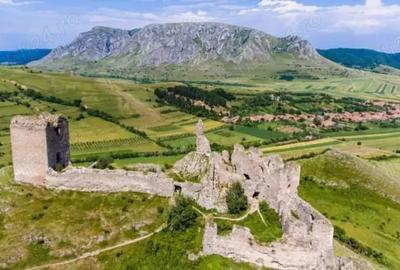 Teren de 6000 mp, în Colțești - 5