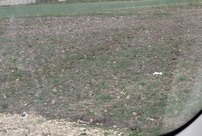 Teren intravilan la asfalt cu utilități și dublă deschidere 25x70.Drum principal Teren intravilan la asfalt cu utilități și dublă deschidere 25x70.Drum principal - 3