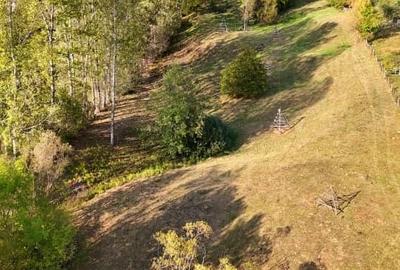 Teren intravilan de 10000 mp, în Corbeni - 6