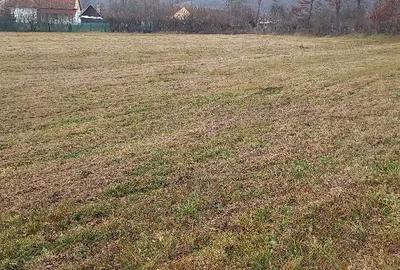 Casă cu Teren 6400 Mp în Zam - 6