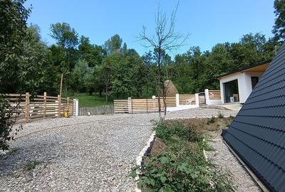 Campina, Plaiu Campinei - 17