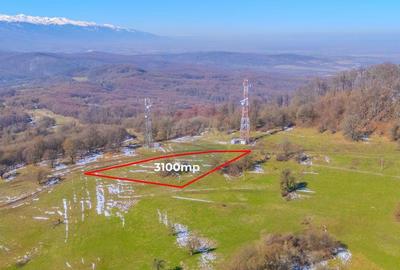 COMISION 0% Teren 3,100mp /Intravilan/ Dumbravi?a - 1