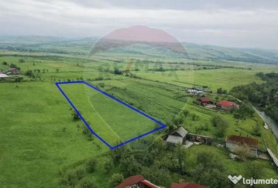 Teren de 6956 mp, în Brăișoru - 4