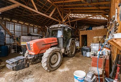 Vie de 115 Hectare în satul Dud, județul Arad - 11