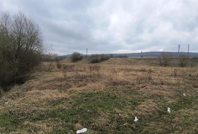 Teren Construcții extravilan de 12400 mp, în Pătrăuți - 7