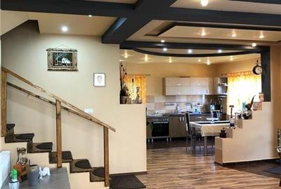 Oferta casa de vacanta P+1+M cu 1700mp teren, in Gura Raului - 31