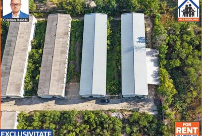 Spațiu comercial, 1200 mp în 1 Decembrie - 3