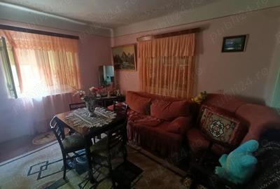 Casă cu Teren 4977 Mp în Ribița