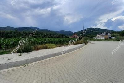 De 733 mp in Boita Sibiu - 4