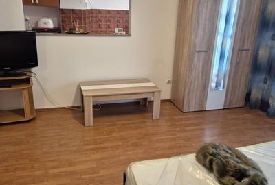 Stadion / Str. Primaverii - Garsoniera Decomandata Centrala Gaze - 3