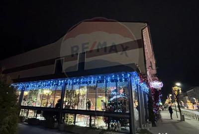 Apartament cu 3 camere semidecomandat în Ultracentral - 9