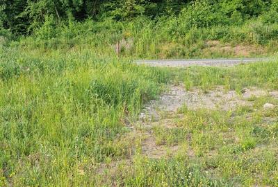 Spațiu comercial, în Biharia - 6