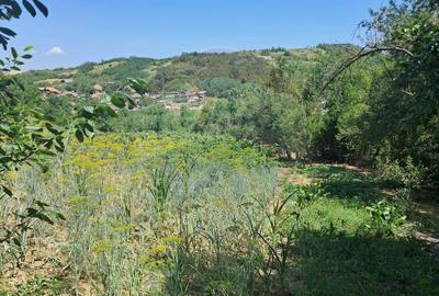 Casa / Vila cu 4 camere de vanzare in zona Central in... - 7