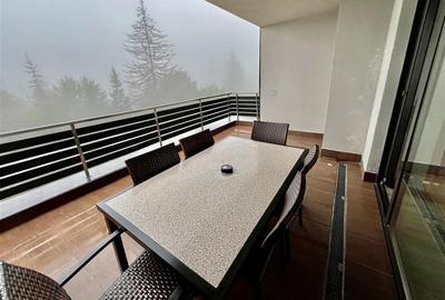 Proprietate exclusivista 4 camere Silver Mountain - 21