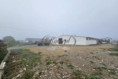 Hala la prima inchiriere, izolata termic, disponibila imedia - 20