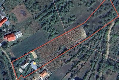 Casă bătrânească cu teren, în comuna Măgirești, județ Bacău