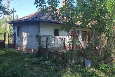 Casa de vanzare Diosig - 3