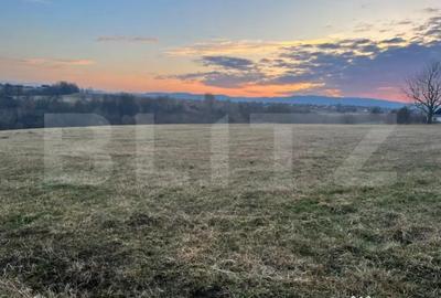 Teren de 27759 mp, în Central