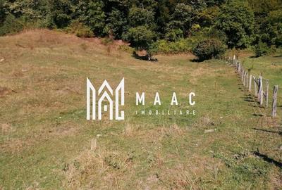 Teren Extravilan 20.000Mp I Stoenești -Vâlcea I Apă Curentă și Pădure - 3