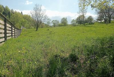 Teren de 1800 mp, în Varvata - 8