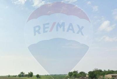 Teren de 25066 mp, în Drăgăneasca - 2