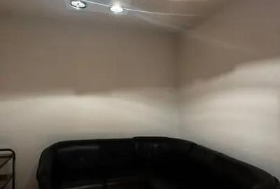 Casa Parcul Carol 570 MP Garaj Metrou Unirii Sau Tineretului 10 Min - 2