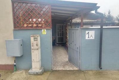 Casă cu 3 camere cu Teren 130 Mp în Gruiu - 8