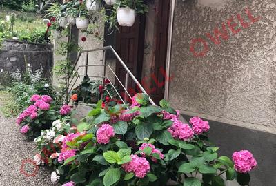 De vânzare o casă pe curte comună cu încă 5 familii situat în Târgu Mureș pe st - 8