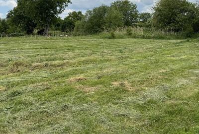 Teren de 3800 mp, în Găești - 6