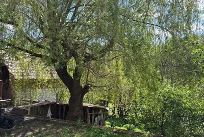 Casa D+P, Berislavesti, 78000 E - 2